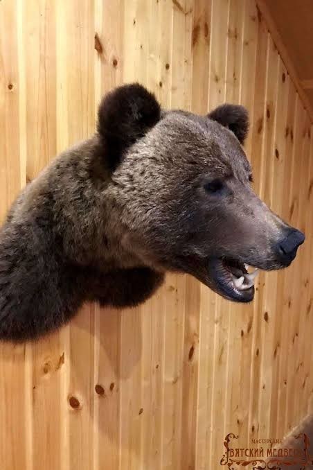 Шутник, блин