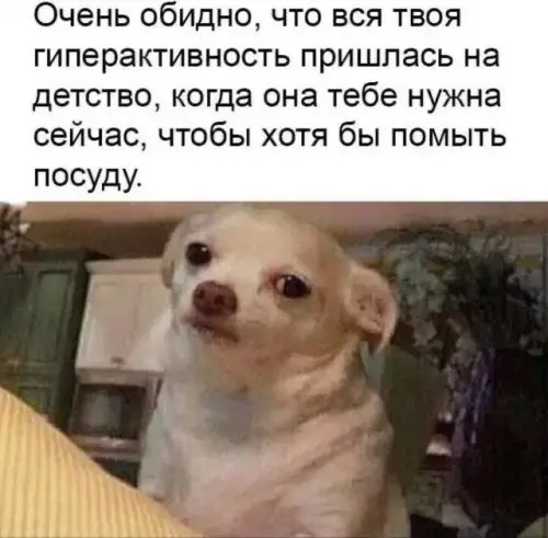 Картиночки, баянчики 05 июня
