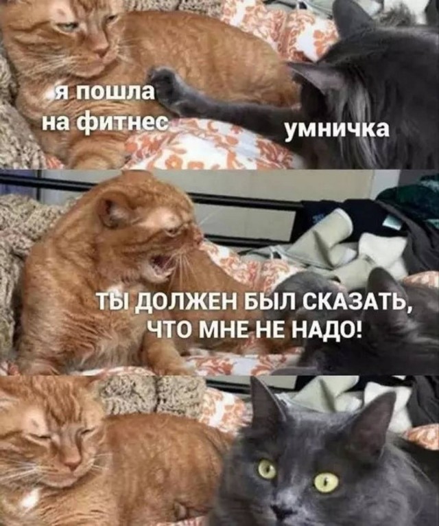 Веселые картинки в пятницу (31.07)