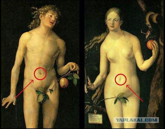 Китайская ли стена?