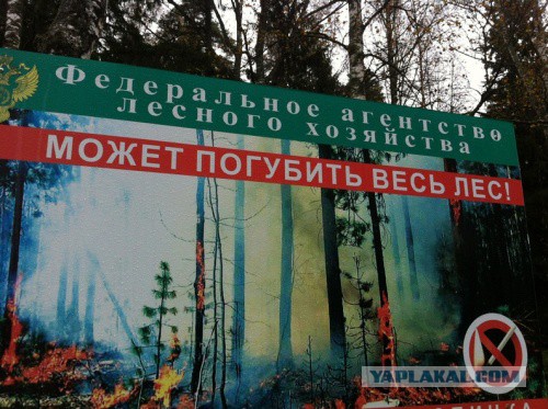 Все в порядке