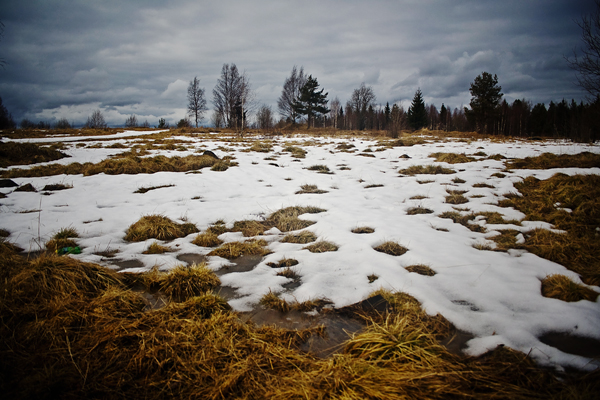 Скоро зима, товарищи !