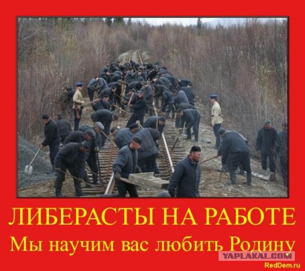 Войск РФ на Украине не будет?