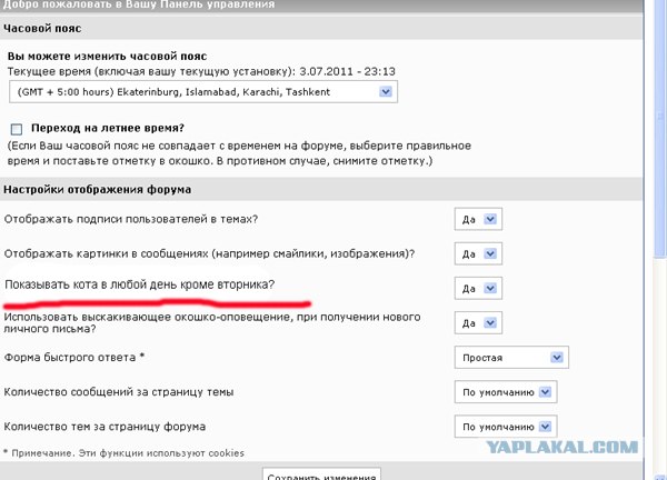Кот под лого