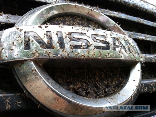 Дорога из Киева и из Москвы в Ялту.