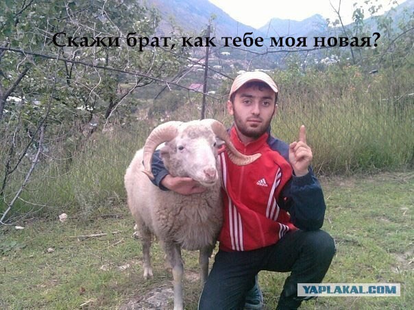 Вот такие должны быть селфи!
