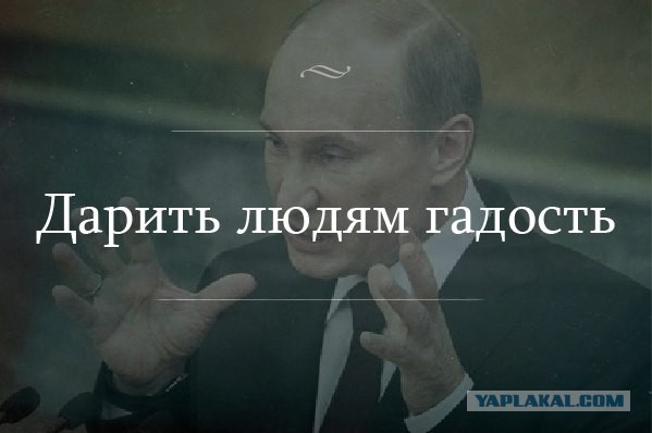 Просто картинки