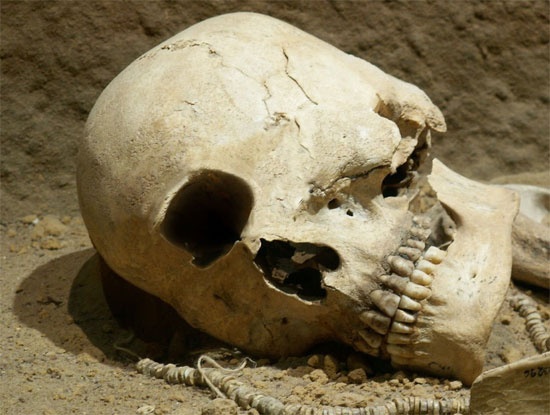 Океан вынес на берег гигантский глаз