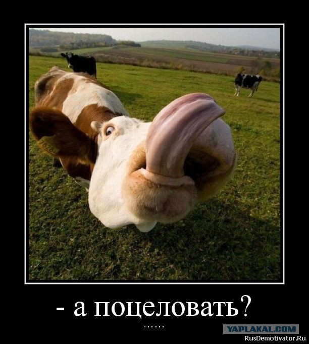Устроился на новую работу