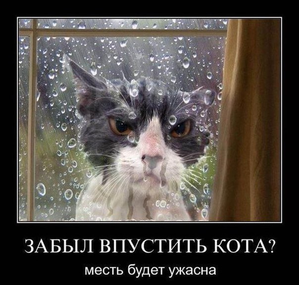Подборка картинок из сети