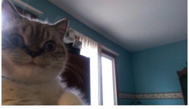 Подборка картинок 17.02.16