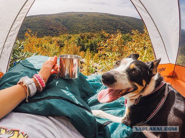 Больше, чем фото