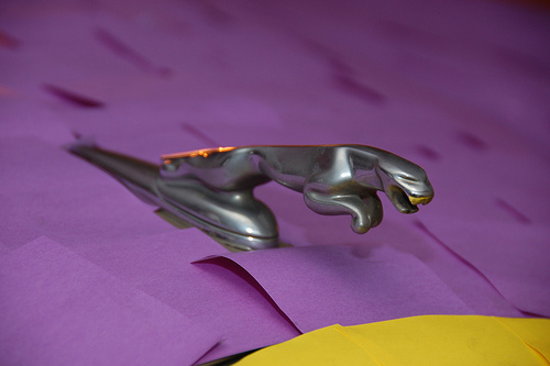 Очумелый ручки: Делаем цветной ягуар (19 фото)