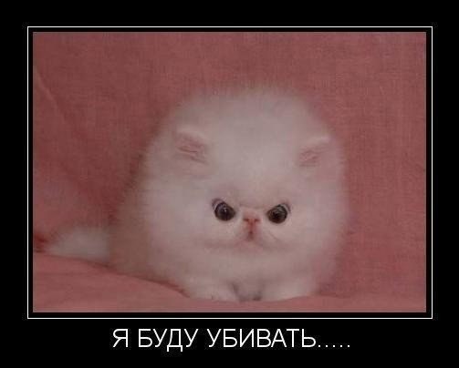 Мохнатые беспредельщики
