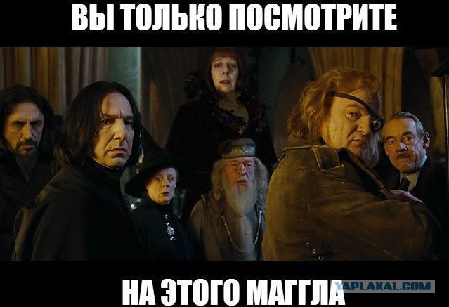 "Гарри Поттер и философский камень". Как изменились актёры за 15 лет