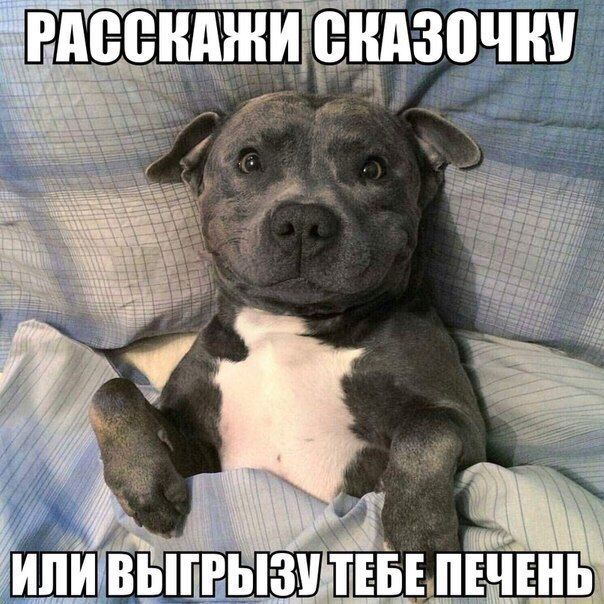 Немножко картинок