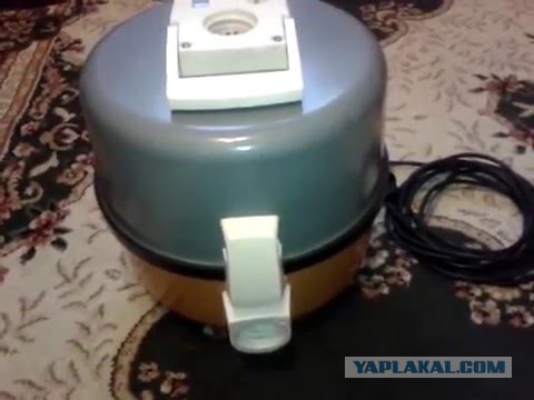 Кот и пылесос. Идиллия.