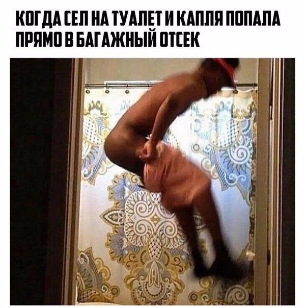 Подборка безудержного веселья
