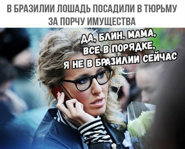 Начата прокурорская проверка высказывания Собчак о Крыме