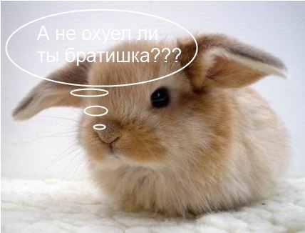 Зарплата министра - 2,5 миллиона рублей