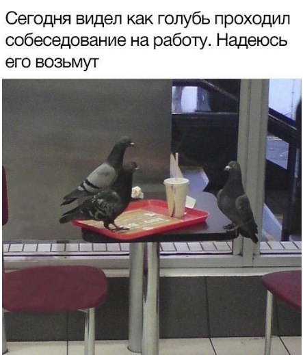 Зарядись позитивом на понедельник