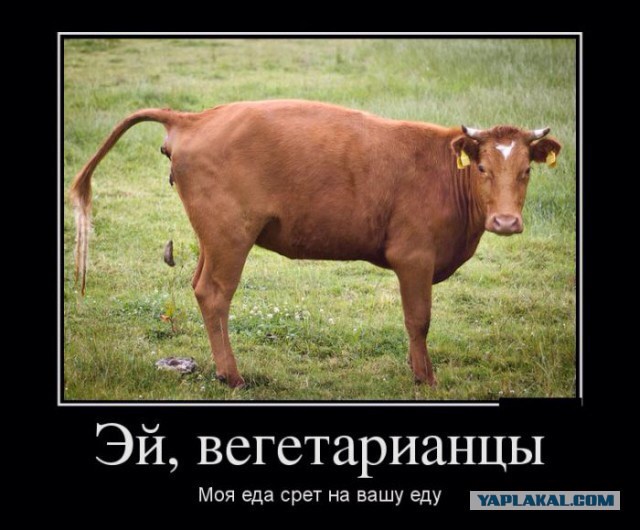 Как называть такого мужа? Яжепапашей?