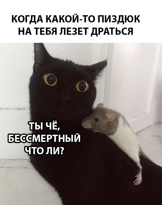 Немного картинок в эту субботу