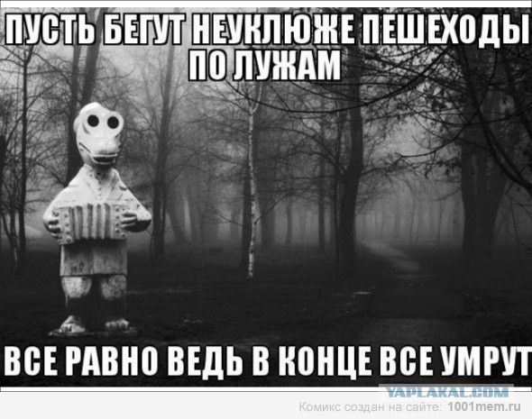 Немного картинок в этот вторник