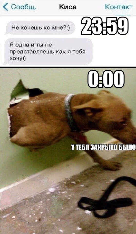 Немного картинок в этот вторник