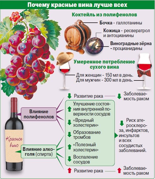 Что будет происходить с организмом, если не пить алкоголь 28 дней
