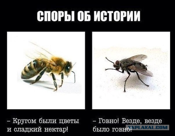Народное достояние