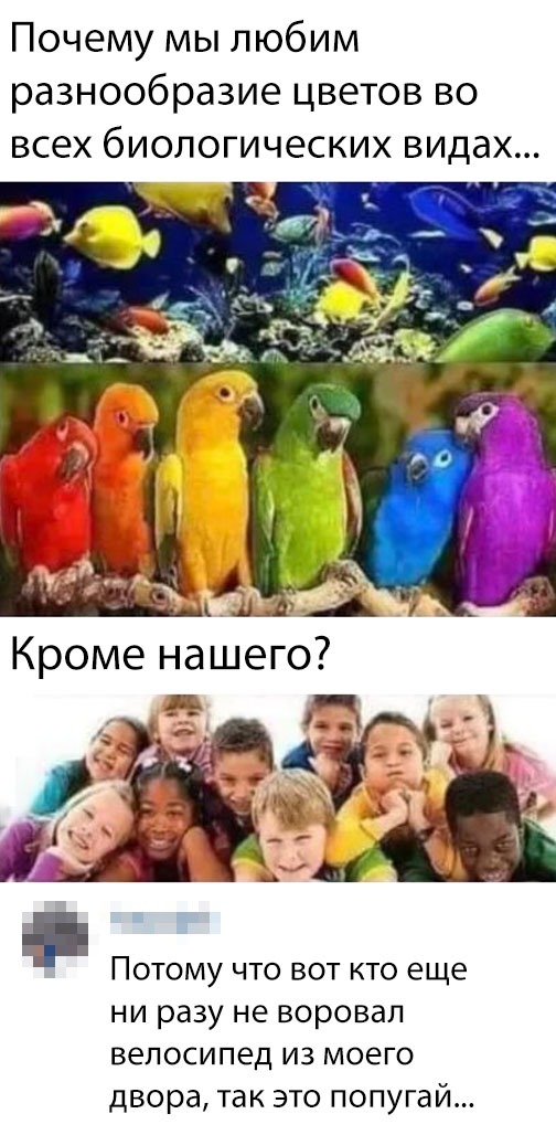 Анекдоты, соц-сети, истории и картинки с надписями