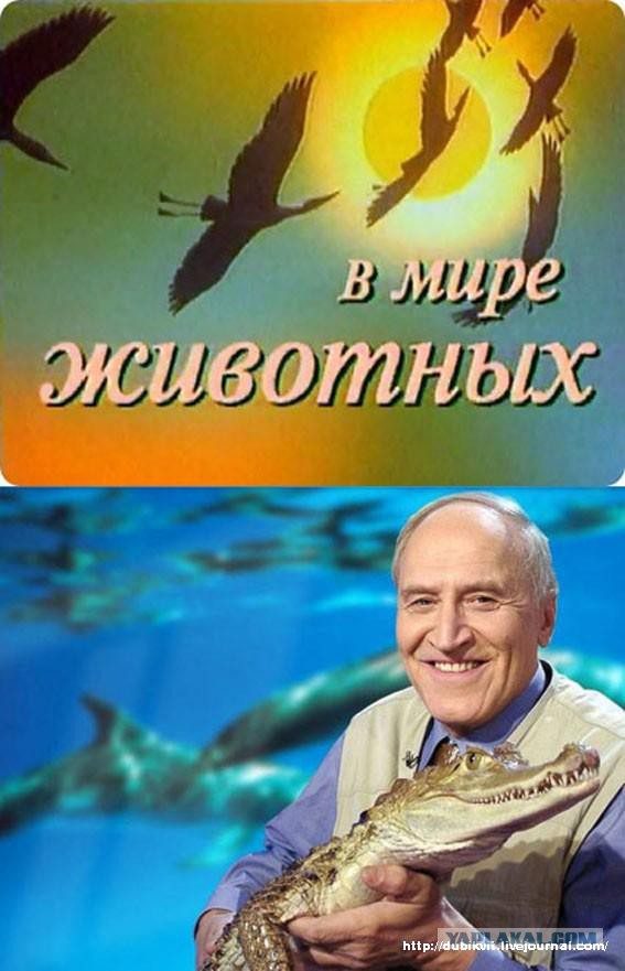 В Грозном выпускники подрались с полицейскими после ЕГЭ по математике