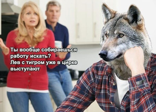 Немного картинок с надписями и без - 16