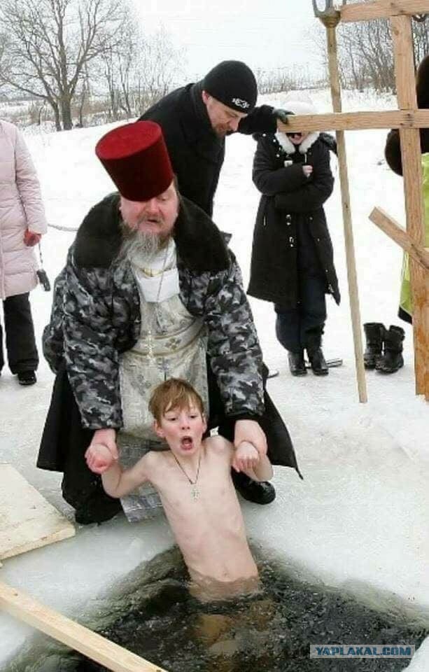 Нет мозгов у бабы