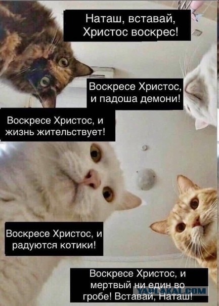 Что делать если у мужа не стоит. 10 причин и личный опыт лечения