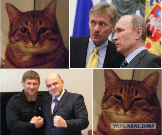 Названа дата последнего публичного появления заразившегося коронавирусом Пескова