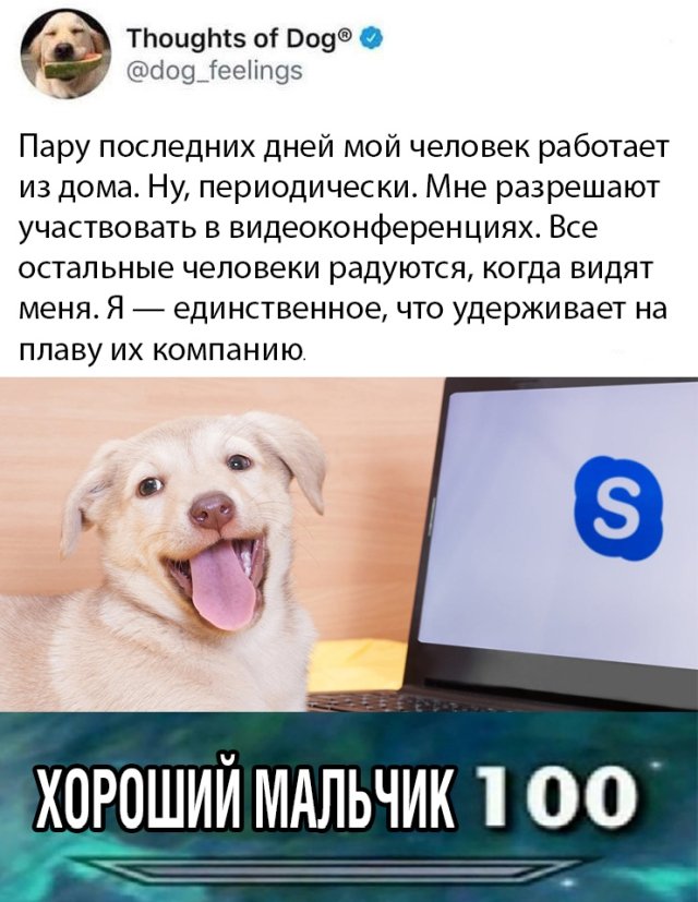 Чуток картинок 14.05.20