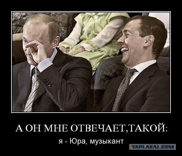 Шевчук и Путин (5 комиксов)