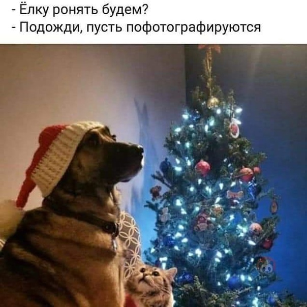 Картинки и мемы для настроения 009