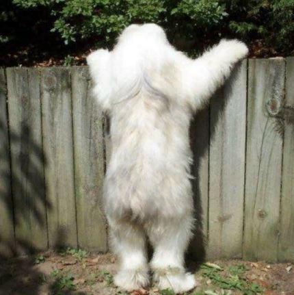 Подборка картинок всяких