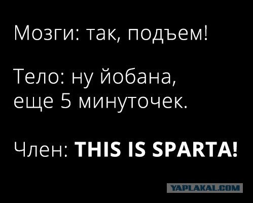 Черный юмор с нотками расизма, который не должен был никого задеть и оскорбить