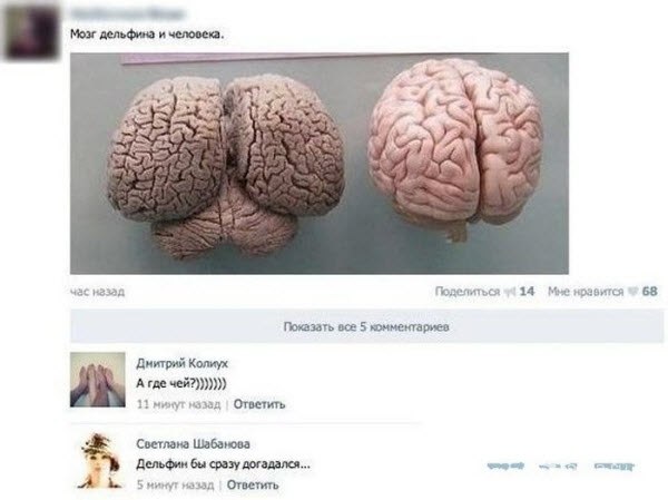 Подеградируем, побаяним...