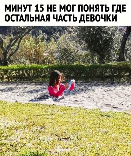 Собака унывака