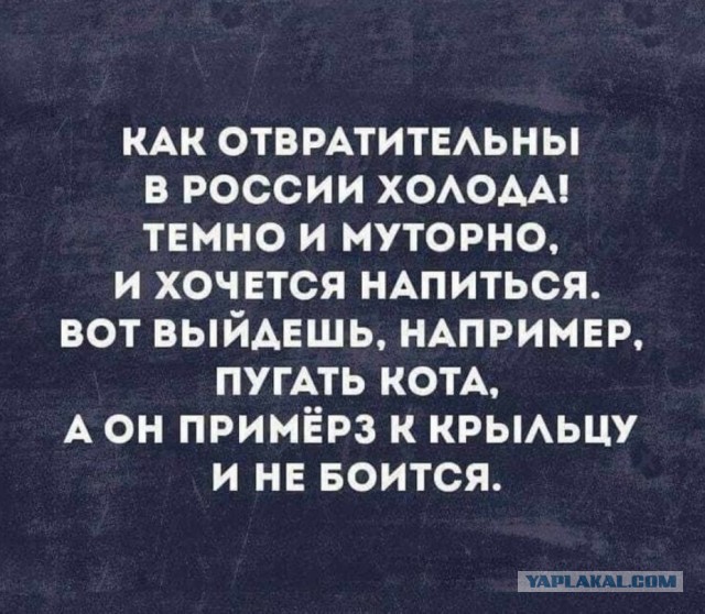 История с РСП в скриншотах. С фоткой попы этой самой РСП