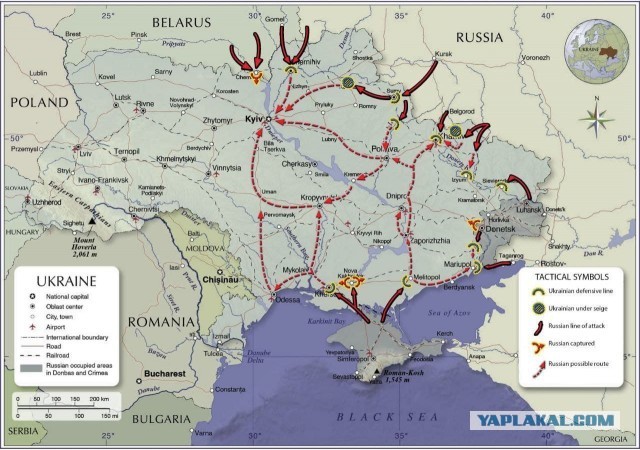 Сводка на 22:30 25.02.22