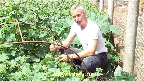 А как поживает Малышева на Первом?