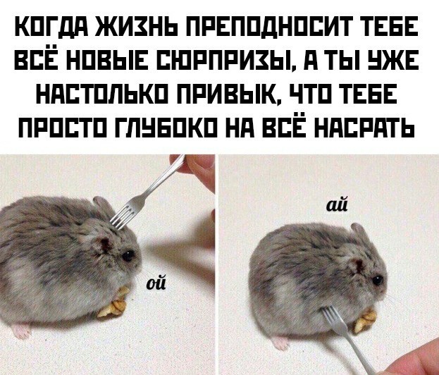 Так себе картинки 23.04.22