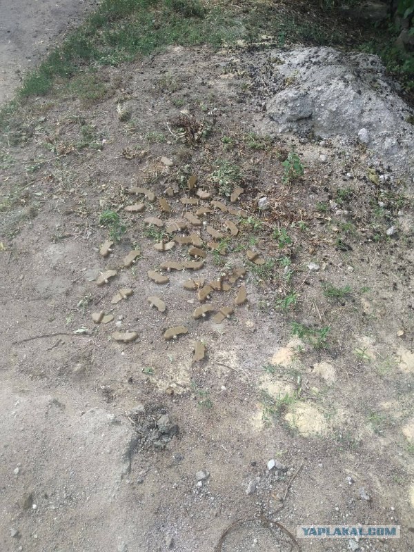 Разминирование покрышкой
