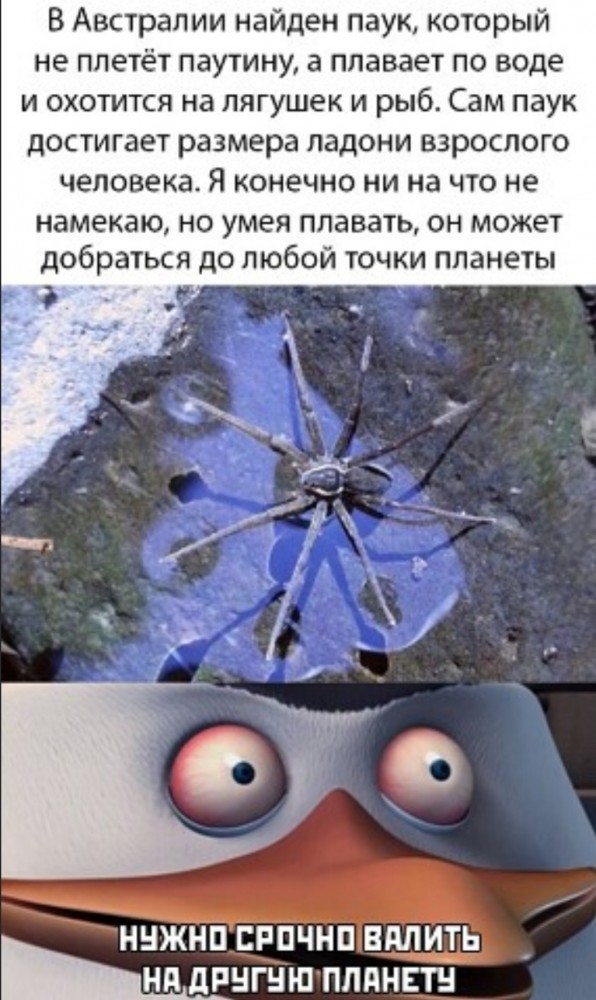 Прикольные картинки с надписям